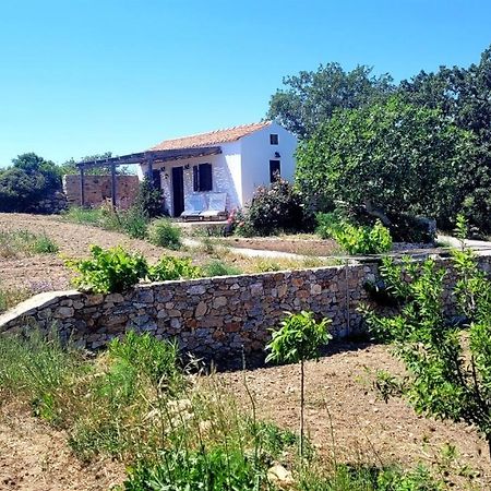 The Pigeon House Villa Potamos  ภายนอก รูปภาพ