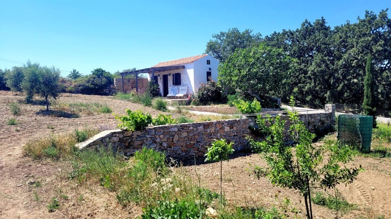 The Pigeon House Villa Potamos  ภายนอก รูปภาพ